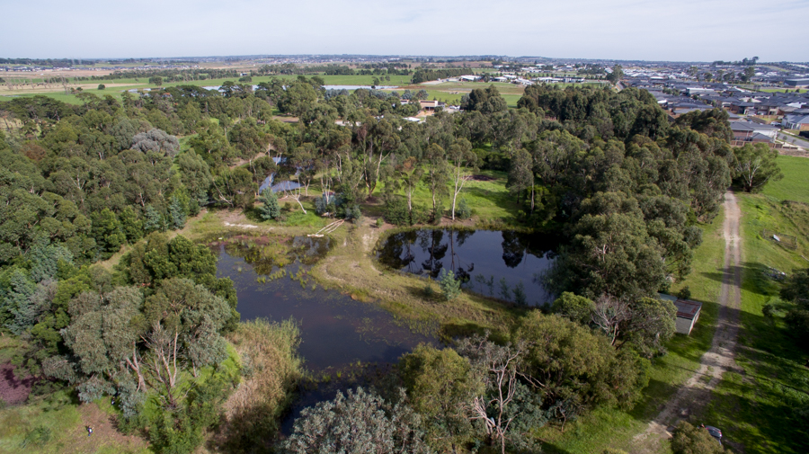 Environmental Reserve