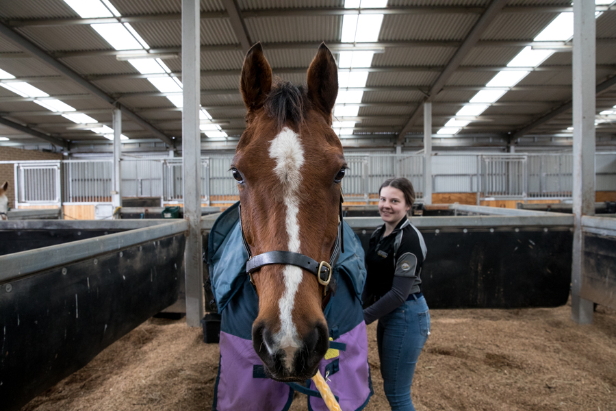 Ayr Hill Equestrian Centre